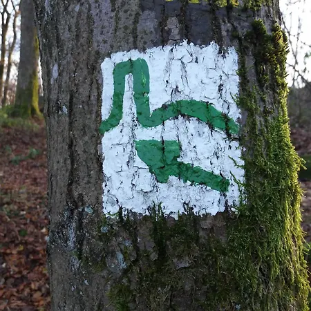 Scout Paradiesecke 179 *