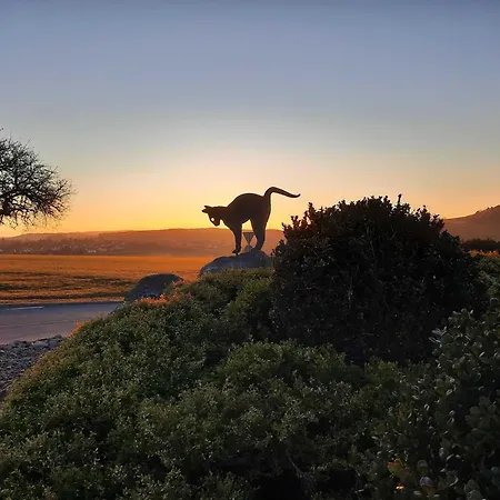 Scout Paradiesecke 179 Nyaraló *